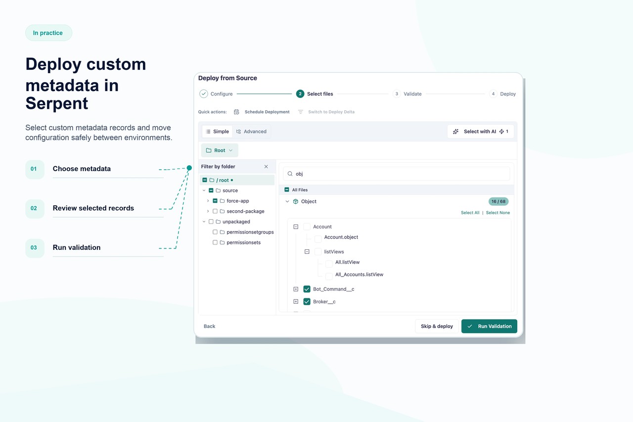 Serpent deployt Custom-Metadata-Type-Datensätze zwischen Orgs als Metadaten
