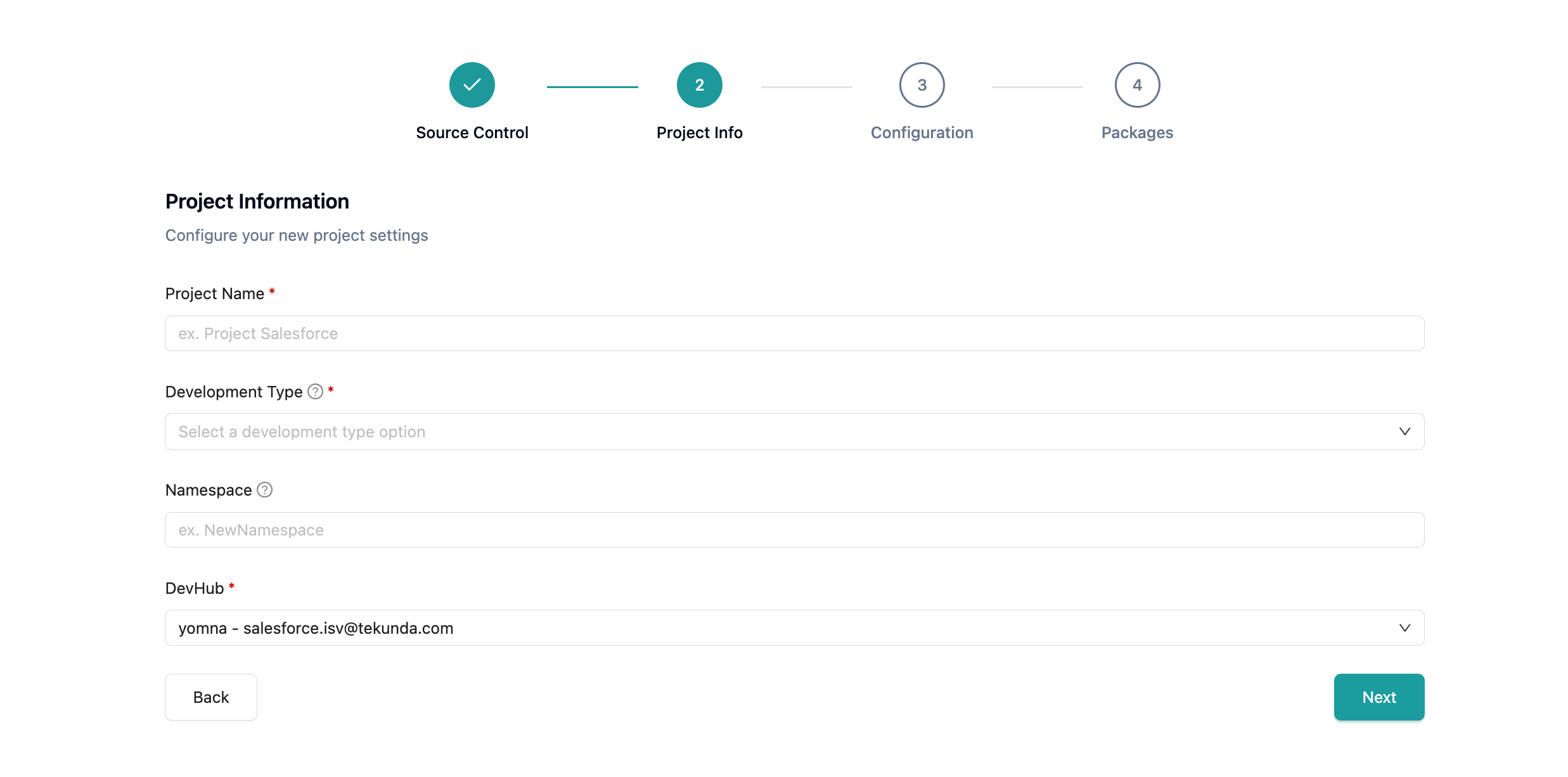 Project Info form with name, development type, and DevHub fields