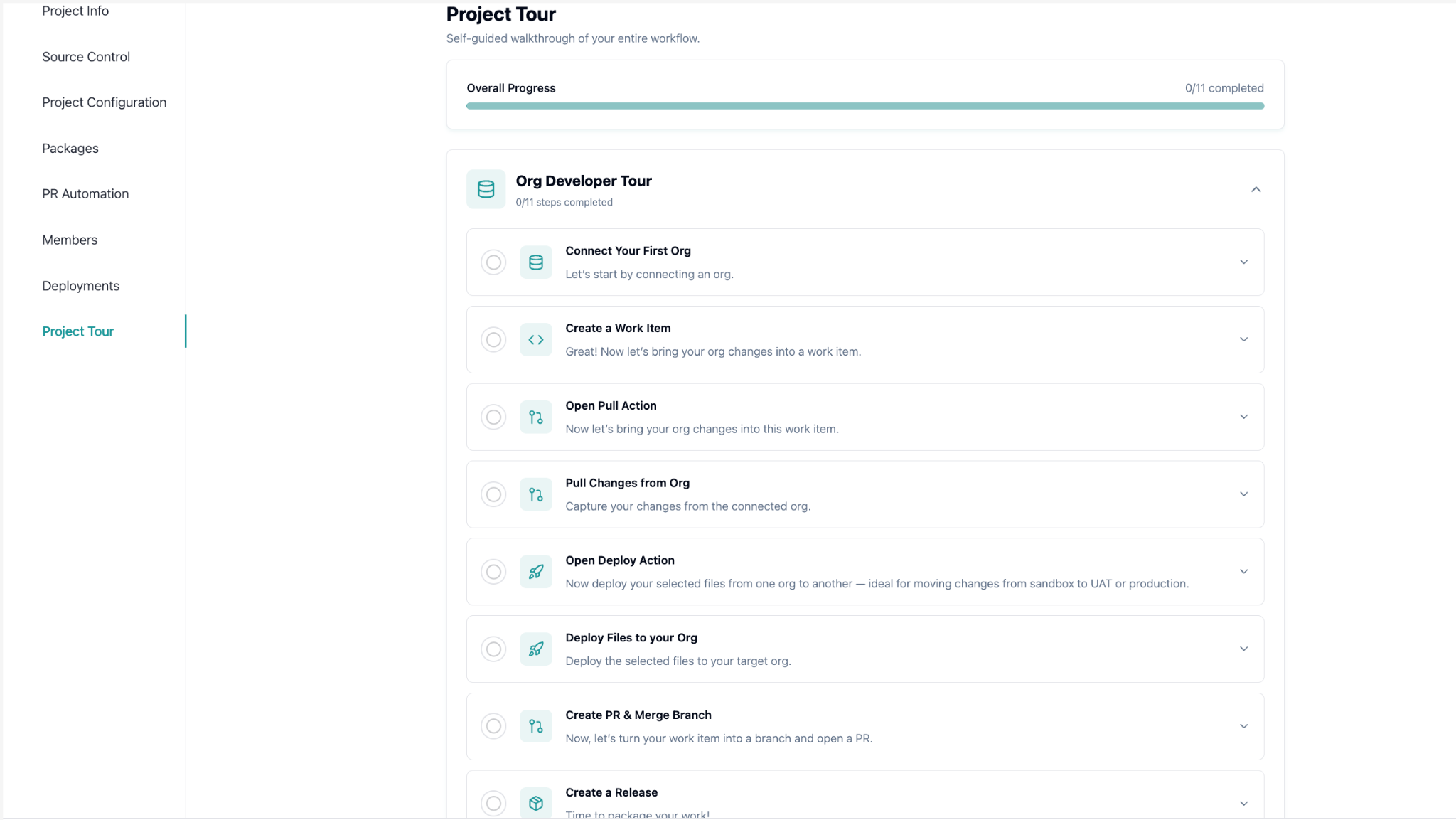Project Tour checklist walking through the org developer workflow